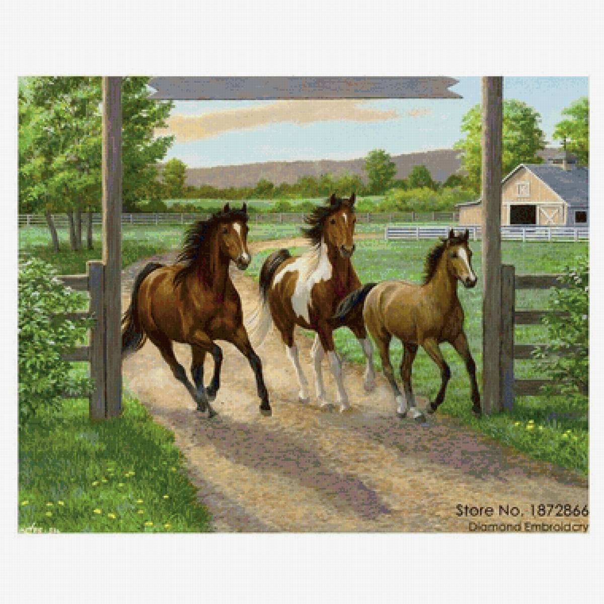 Лошади - лошади - предпросмотр