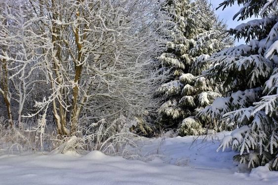 №2653643 - оригинал