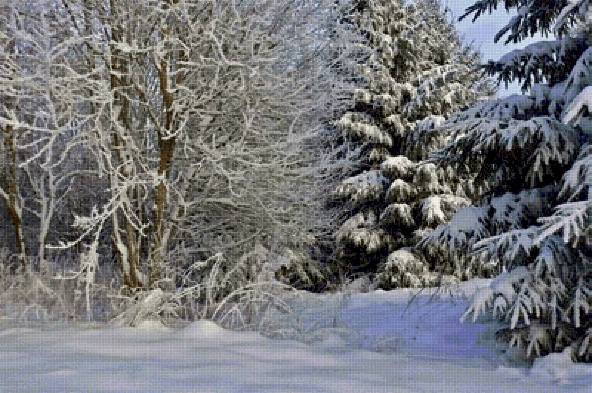 №2653643 - предпросмотр