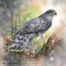 Схема вышивки «№2653644»