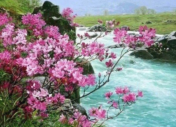 Багульник - багульник - оригинал