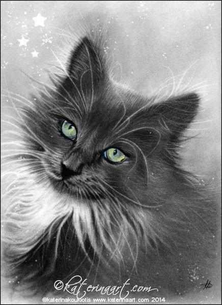 ,,Черныш, - кот - оригинал