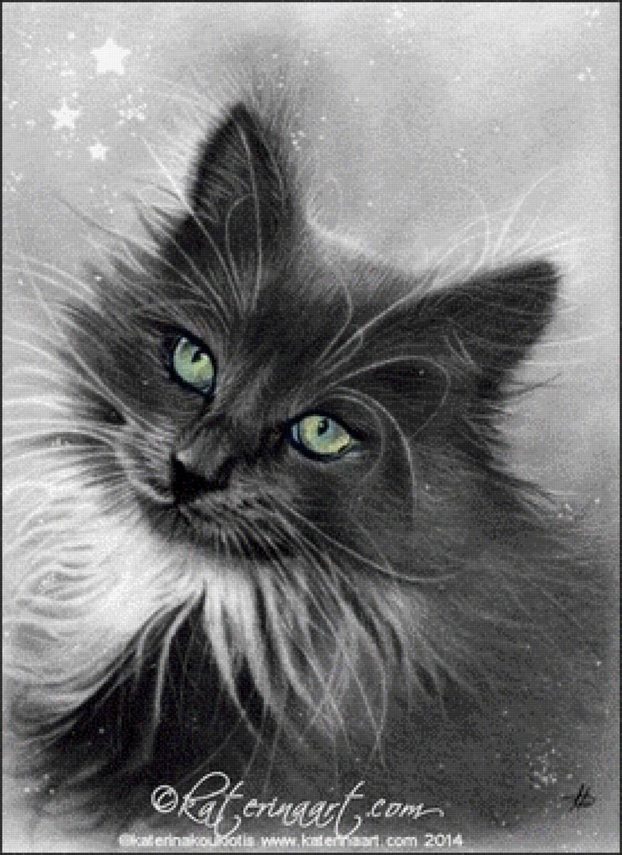 ,,Черныш, - кот - предпросмотр