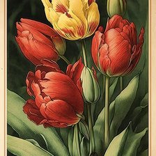 Схема вышивки «№2654144»