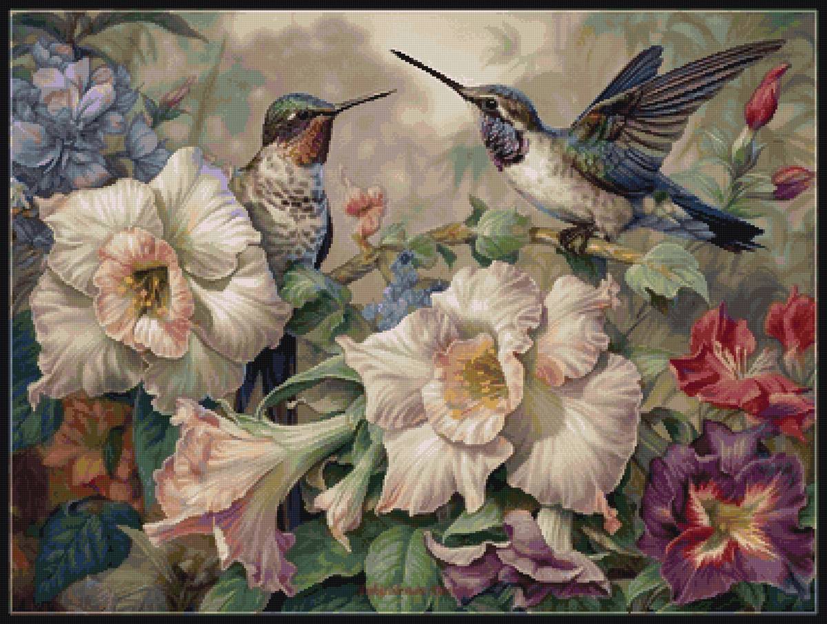 колибри и цветы - предпросмотр