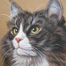 Схема вышивки «котик»