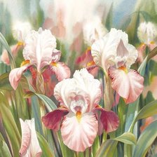 Схема вышивки «№2654371»