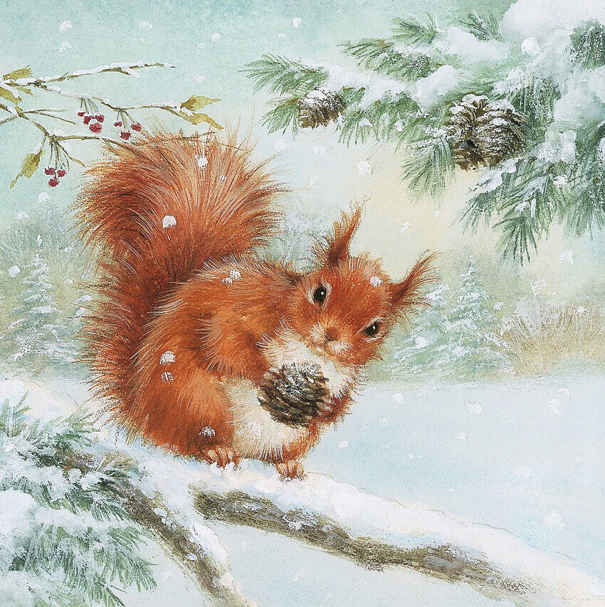 Белка с шишкой - 🐿️ - оригинал