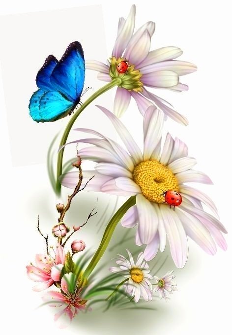 ромашки - оригинал