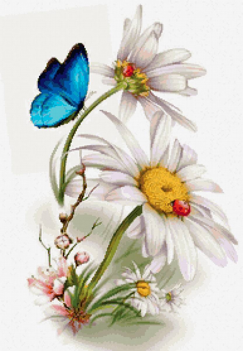 ромашки - предпросмотр