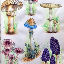 Схема вышивки «грибочки»