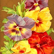 Схема вышивки «анютки»