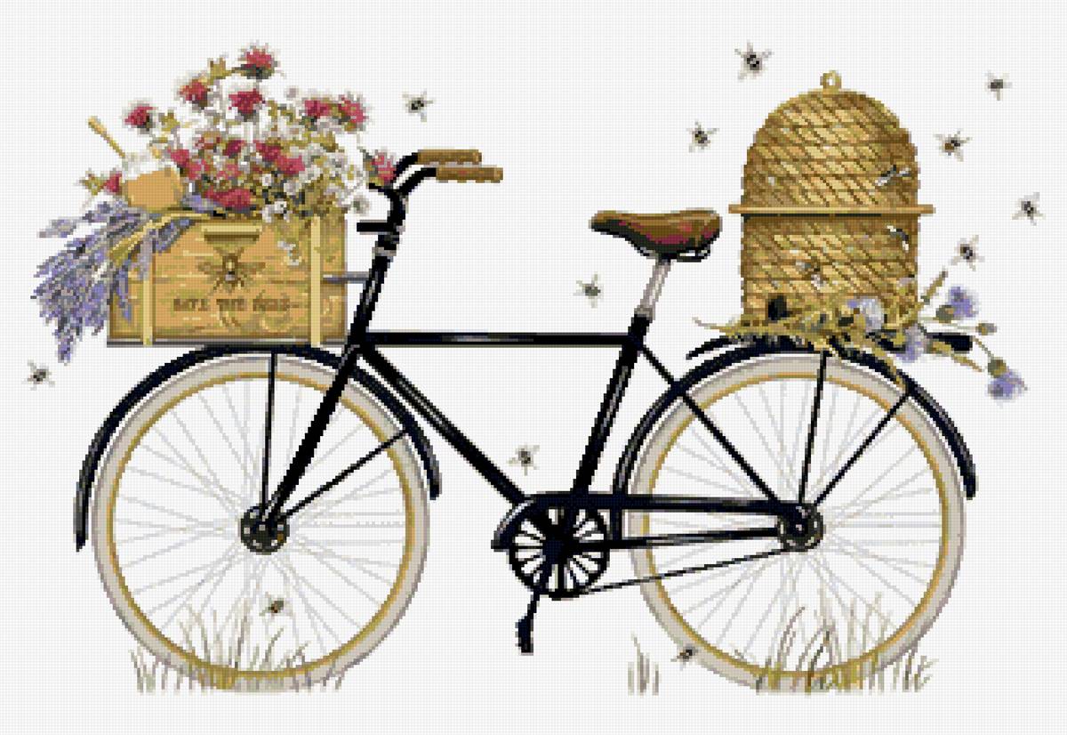Велосипед - акварель, рисунок, цветы - предпросмотр