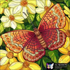 Схема вышивки «бабочка»