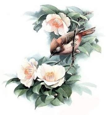 Птица на ветке - дерево, птица, цветок - оригинал