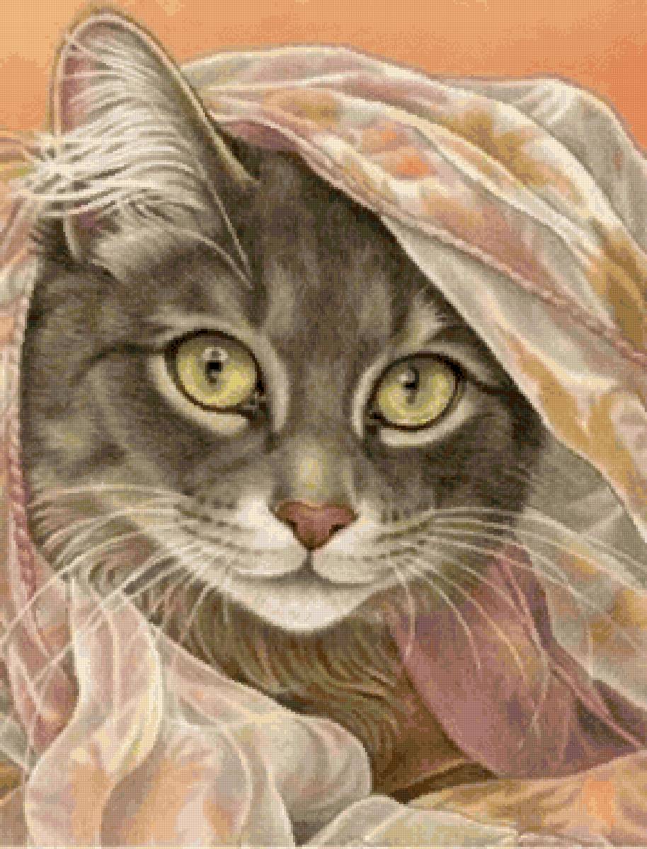 кошка - дмс, кошки, зеленые глаза - предпросмотр