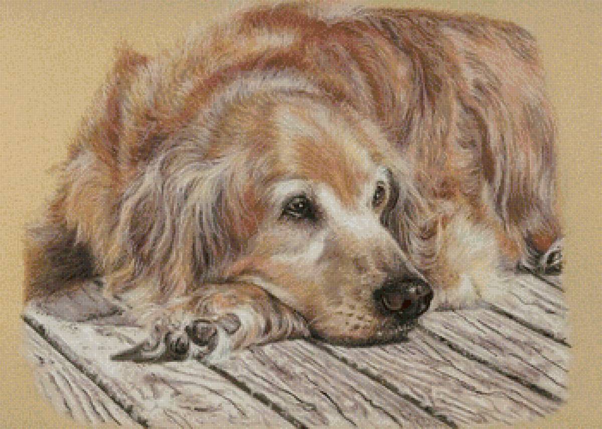 Старый друг - собака, домашние животные, живопись - предпросмотр