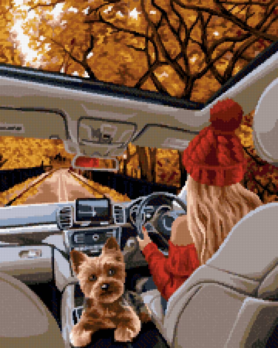 Дама с собачкой - девушка, собака, осень, машина - предпросмотр