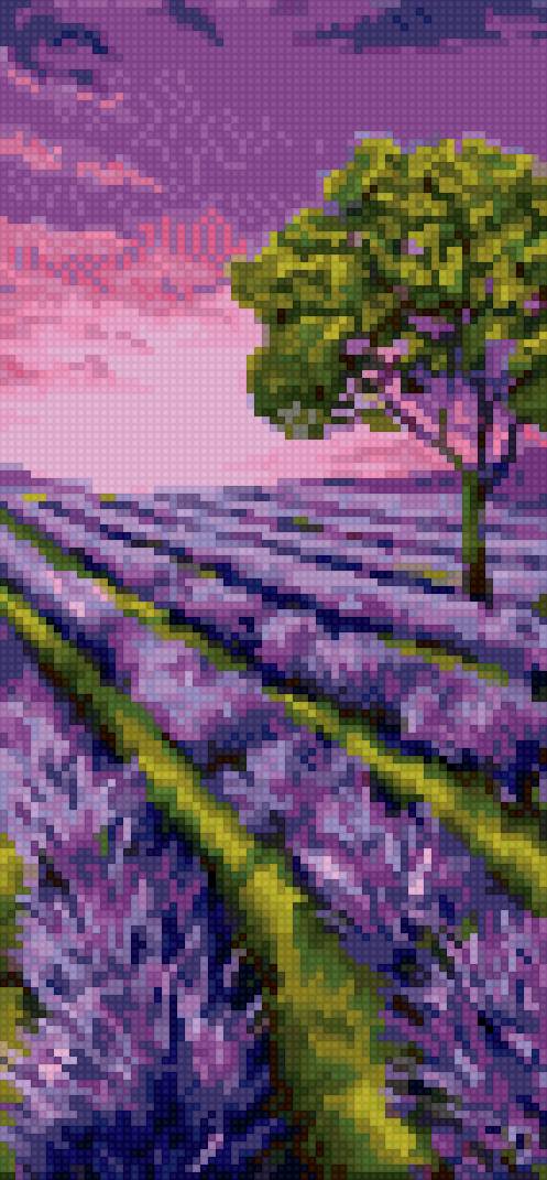 Лавандовое поле - лаванда, лето, зелень - предпросмотр