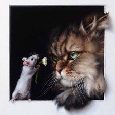 Кошки мышки