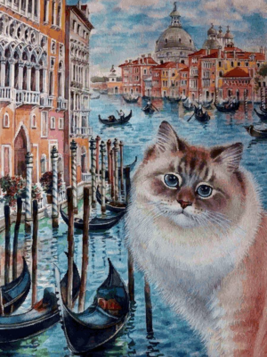 Венецианский котик - 🐱 - предпросмотр