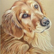 Схема вышивки «собака»