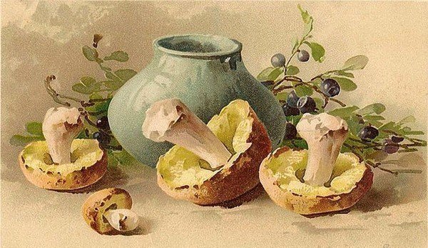 горшок и грибы - оригинал