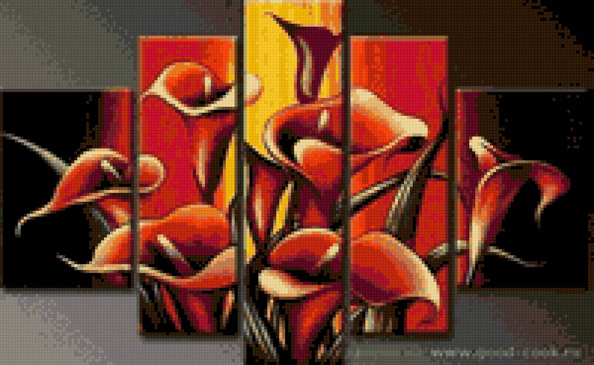 каллы - предпросмотр