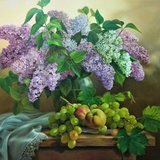 Натюрморт, сирень, виноград