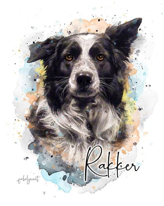 Watercolor Pet - рисунок, собака, акварель - оригинал