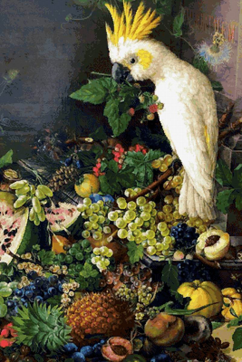№2657704 - фрукты, натюрморт, попугай - предпросмотр