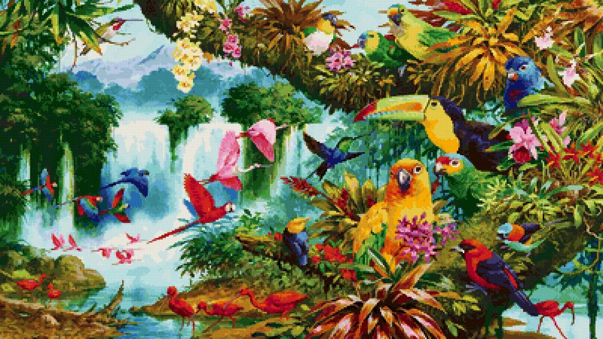 №2658120 - птицы, природа, тропики, пейзаж - предпросмотр