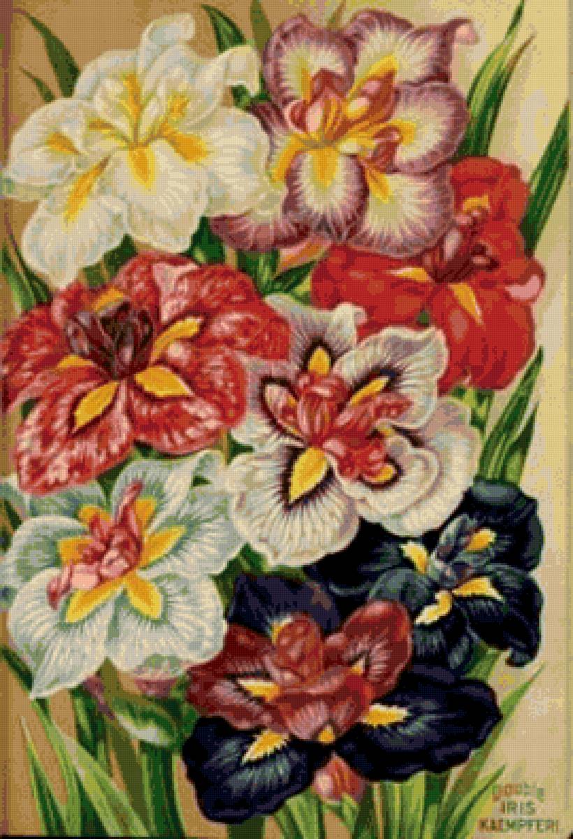 Цветы - предпросмотр