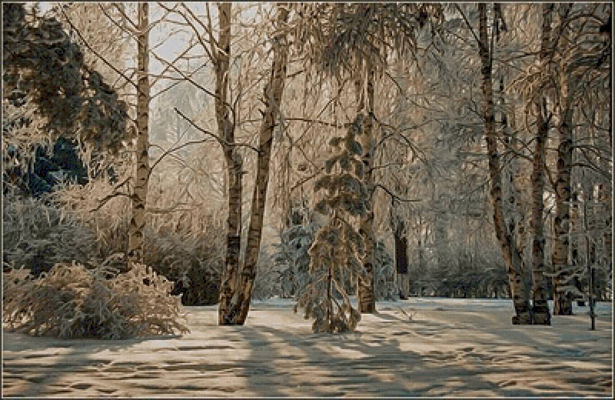 №2658577 - предпросмотр