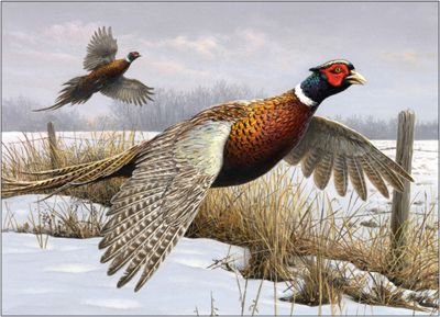 №2658580 - оригинал