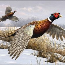 Схема вышивки «№2658580»