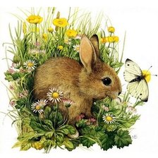 Схема вышивки «зайка и маргаритки»