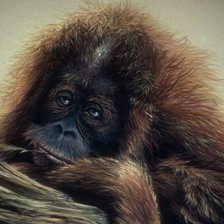 Схема вышивки «мечтатель»