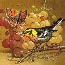 Схема вышивки «Птица и виноград»