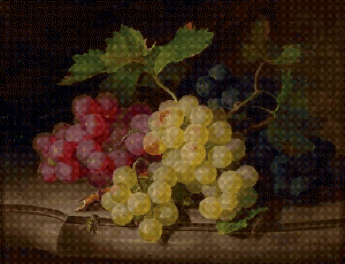 Виноград - предпросмотр