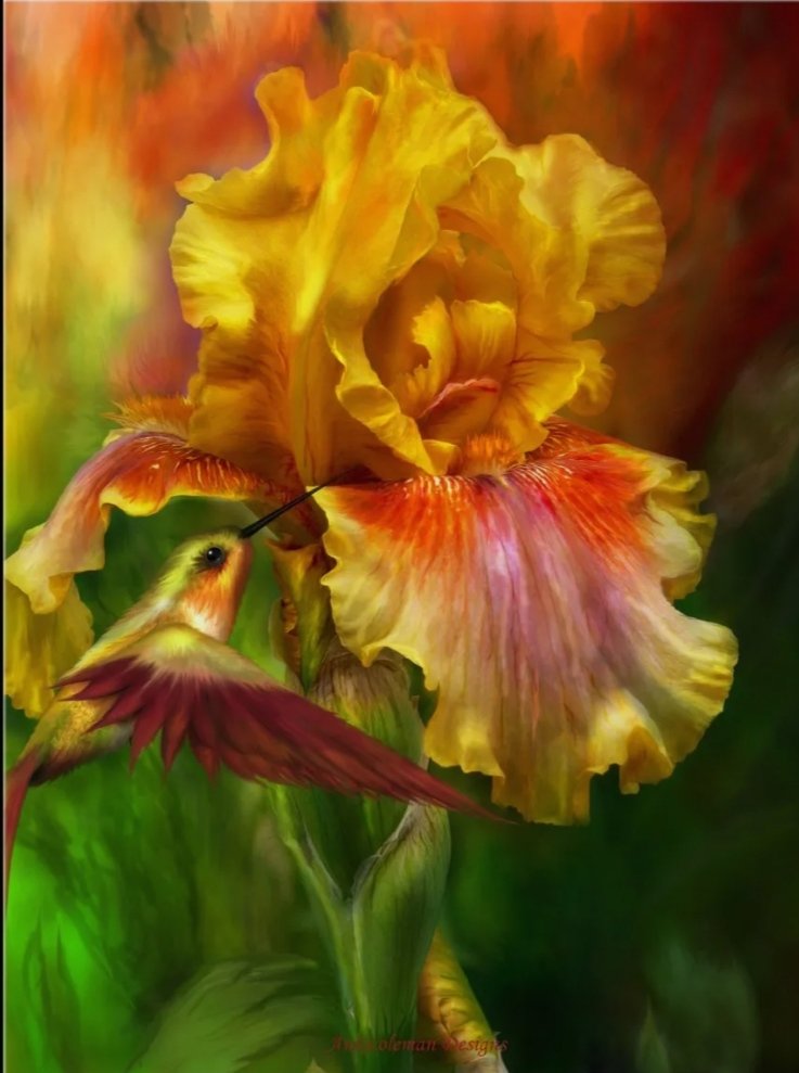 Ирис и колибри - оригинал