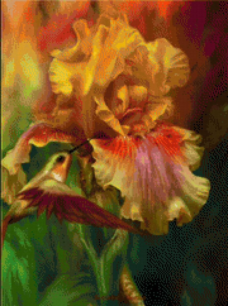 Ирис и колибри - предпросмотр