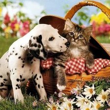 Схема вышивки «№2659513»