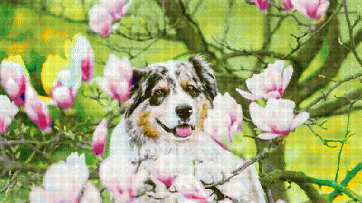 №2659515 - животные - предпросмотр