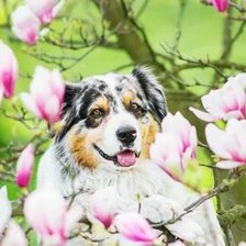 Схема вышивки «№2659515»