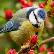 Схема вышивки «№2659553»