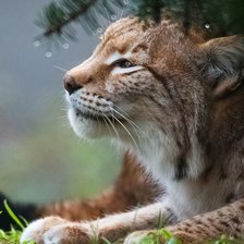 Схема вышивки «№2659601»