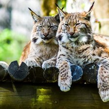 Схема вышивки «№2659606»