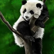 Оригинал схемы вышивки «№2659623»