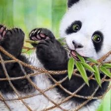 Схема вышивки «№2659625»